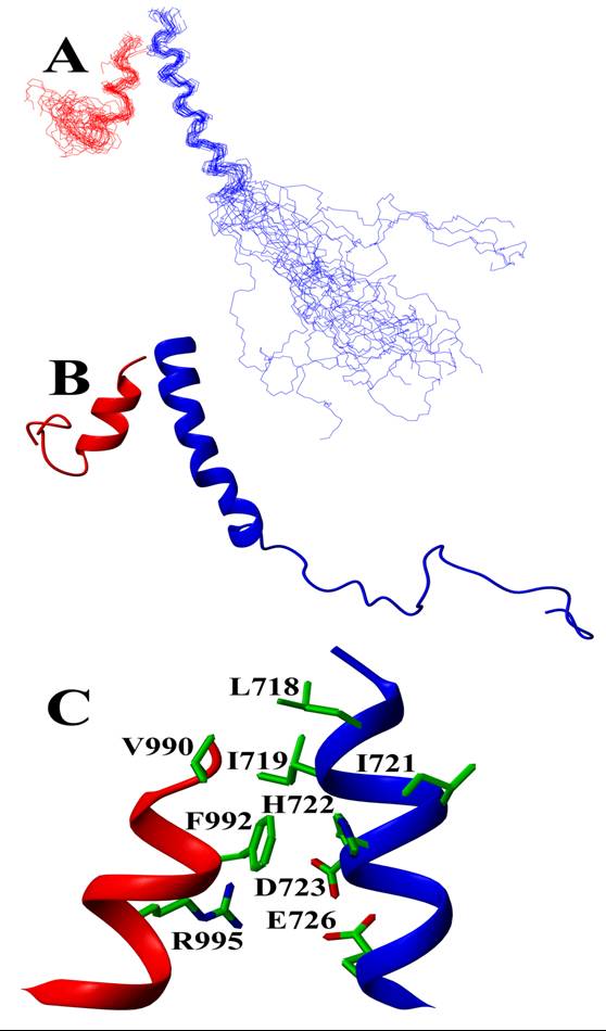 AlphaIIb-beta3 complex